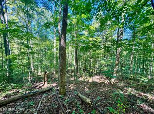 53 W Bobcat Ln, Wilder, TN 38589