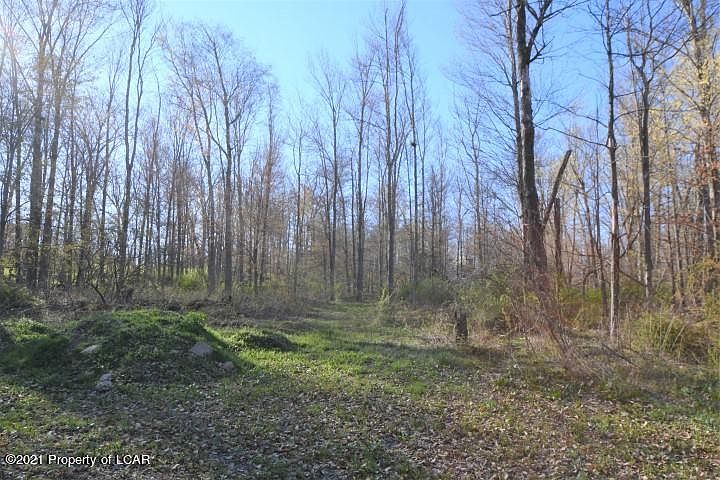 1st image of Gwilliam Ave