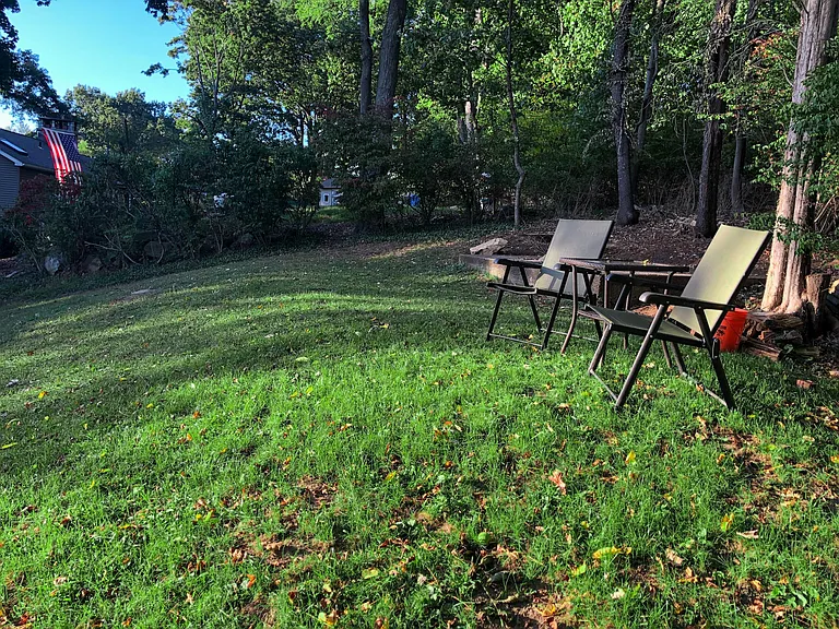 Backyard, rear