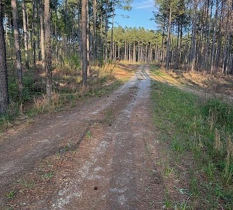 2nd image of 0 Clark Mountain Rd
