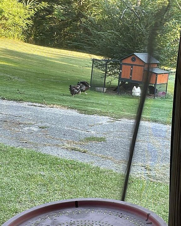 1st image of 2001 Chenoor Rd