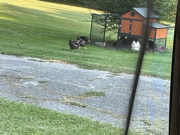 2001 Chenoor Rd, Birmingham, AL 35217