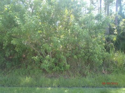 3125 SW Letchworth St, Port Saint Lucie, FL, 34953