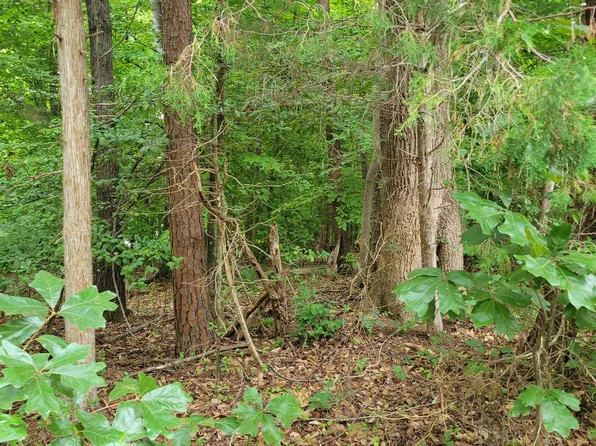 0 Jennings Dr, Palmyra, VA 22963