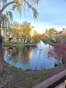 223 Shorebird Cir, Redwood City, CA, 94065