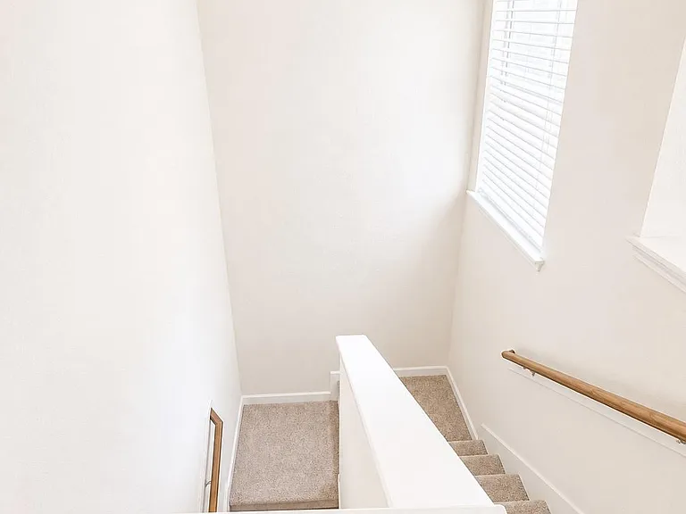 13447 Blue Swallow Dr — Photo 10