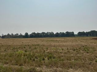 TRACT 48 Hays Mill Rd, Elkmont, AL 35620