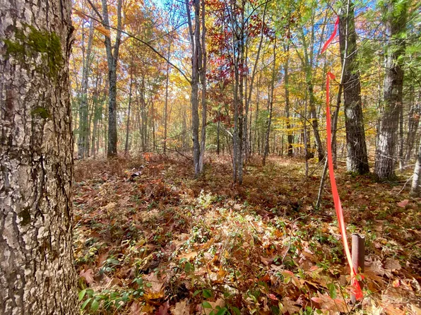 00 Cottage Lane, Brownfield, ME 04010