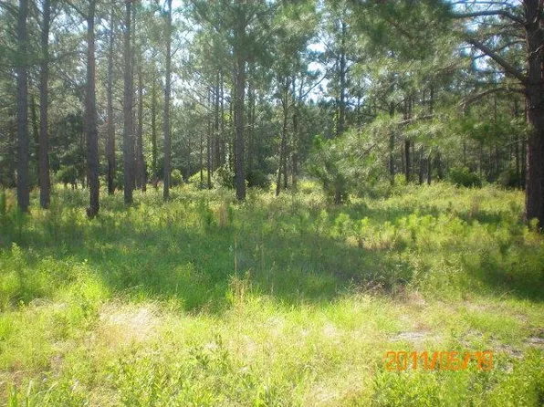 LOT Sand Ridge Ln, Nashville, GA 31639