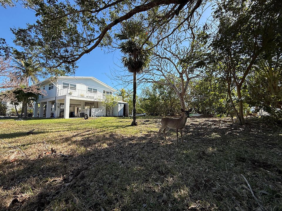 1st image of 4039 Egret Ln