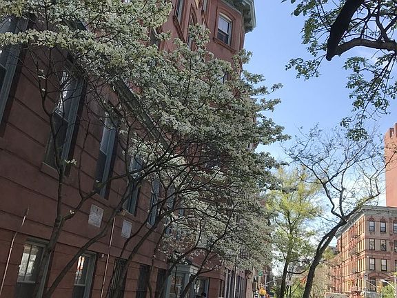 3rd image of 250 W 21st St APT 6