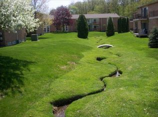 675 Randolph St APT 205, Northville, MI