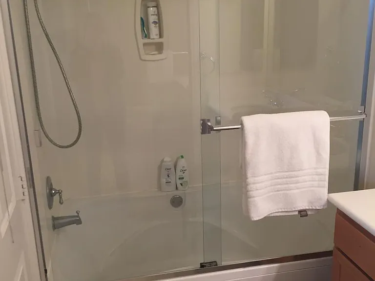 Master bath shower/tub
