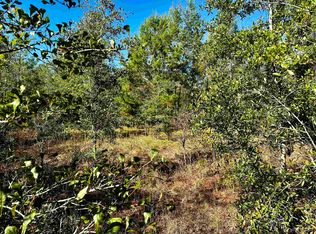 Vacant Ne River Trace Trl, Lee, FL 32059
