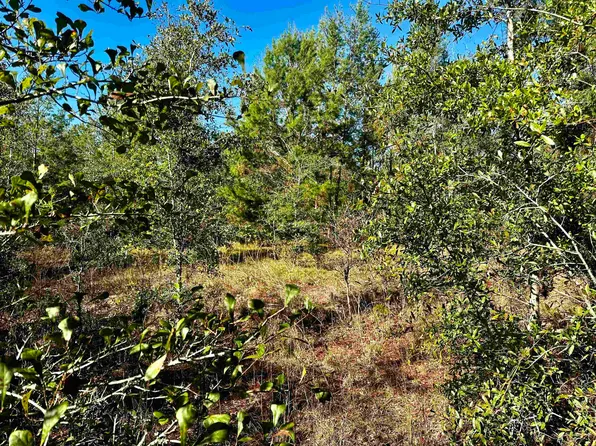 Vacant Ne River Trace Trl, Lee, FL 32059