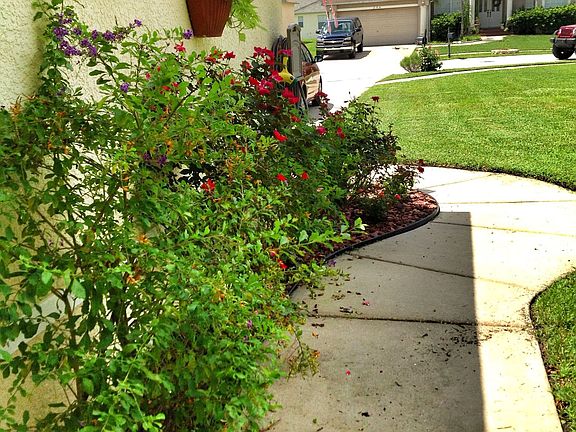Front sidewalk facing street