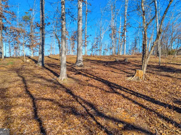 9 Jenkins Ferry Rd, Martin, GA 30557