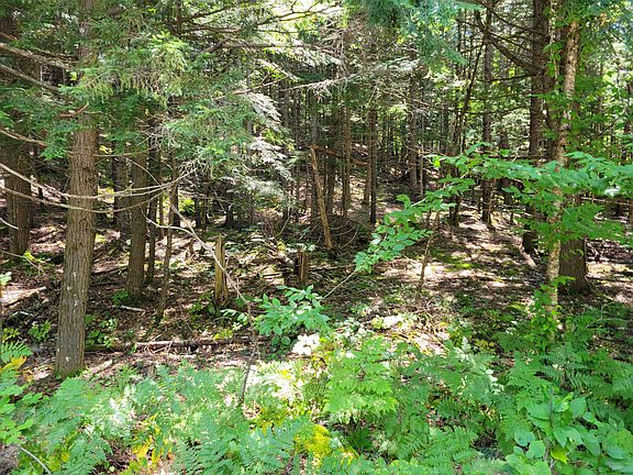 3rd image of 5A Webb River Acres
