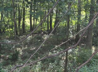 LOT 9 Park View Ct, Dublin, VA 24084