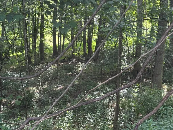 LOT 9 Park View Ct, Dublin, VA 24084