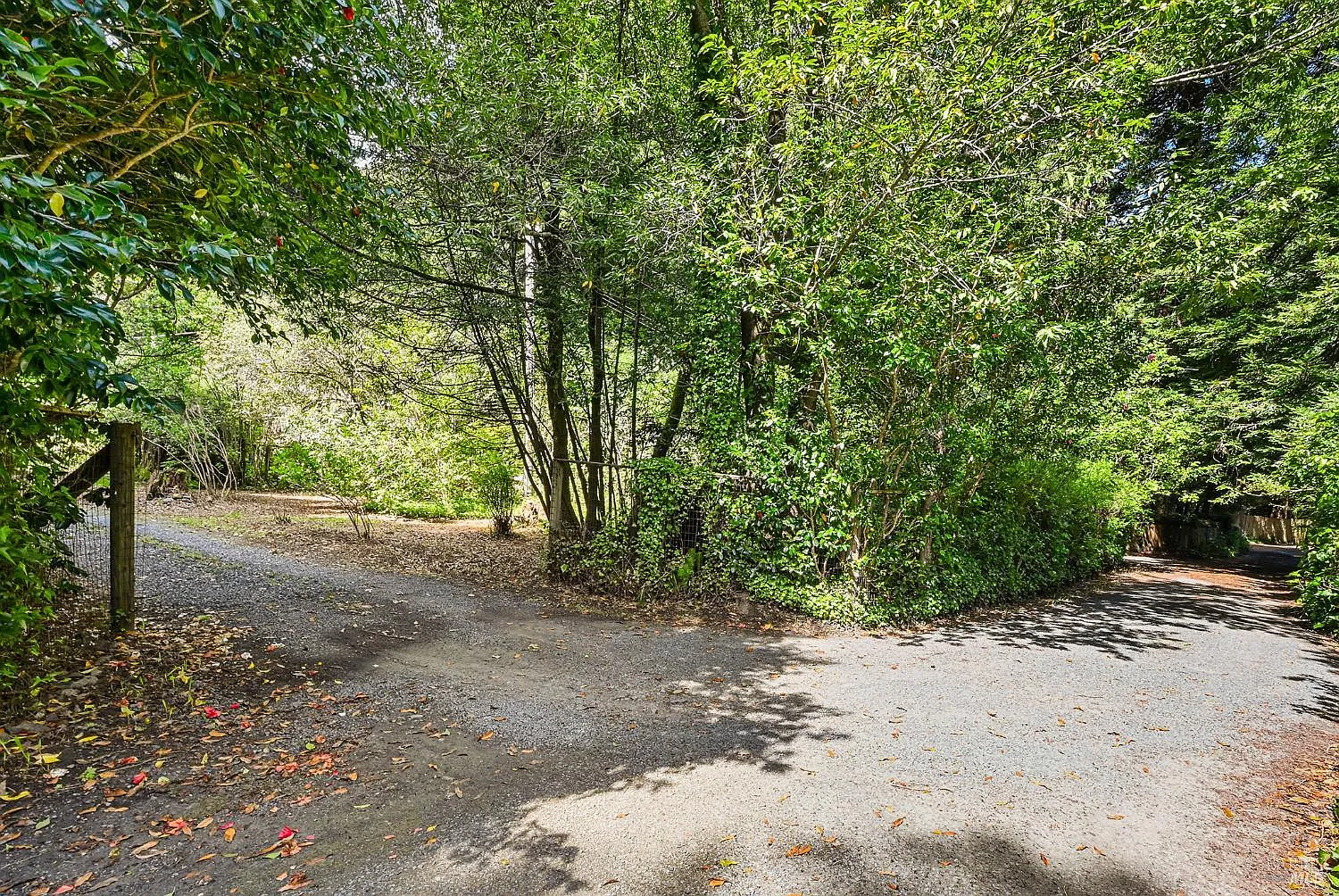1365 Austin Creek Road - Photo 6