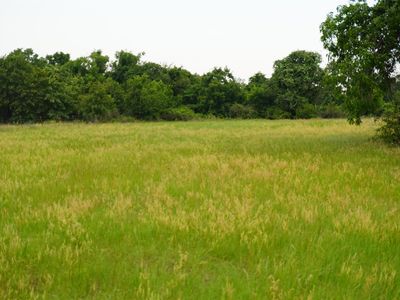 9570 W Highway 199, Poolville, TX, 76487