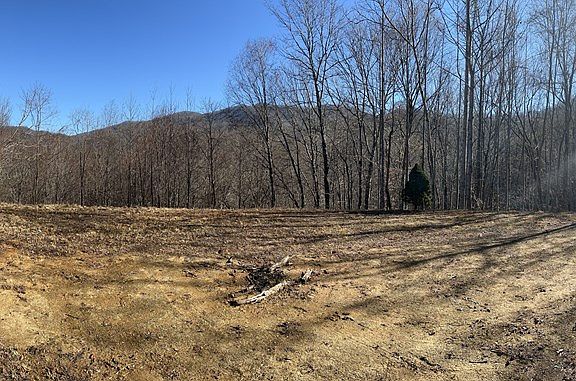 4th image of 359 Loon Ln Lot 57