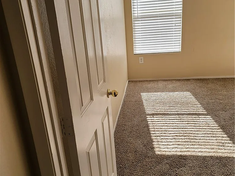 253 Buckskin St — Photo 24