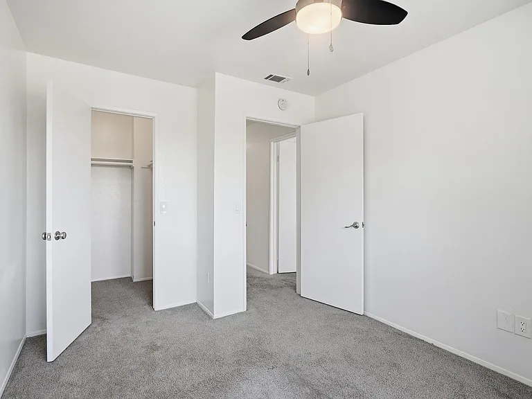 Walk in Closet in guest bedroom