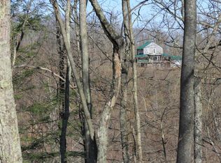 2503 Feedtrough Run Rd, Birch River, WV 26610