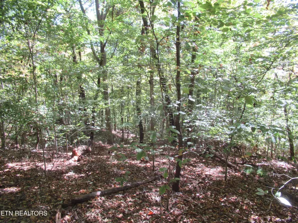 0 Riverside Dr, Knoxville, TN 37914