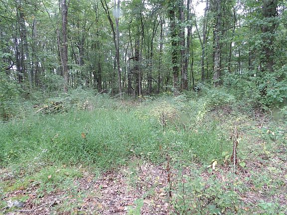 2nd image of Bull Road