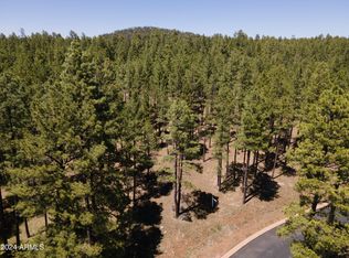 9586 Sierra Springs Way #7, Pinetop, AZ 85935