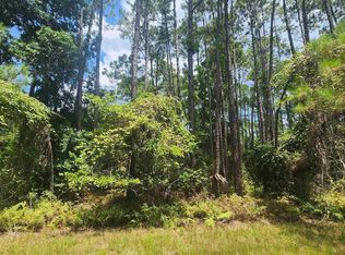 126 Helen Ave, Georgetown, FL 32139