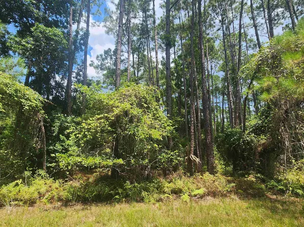 126 Helen Ave, Georgetown, FL 32139