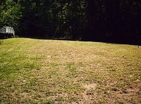 2nd image of 41 Page Rd