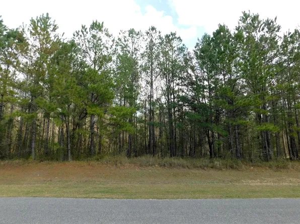 Lot 4 NW 145 AVENUE LOT 4, WILLISTON, FL 32696