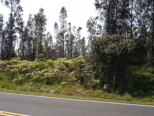 2nd image of Road 8 Moho Lot 4994