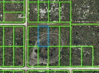 1105 S Landry Rd, Avon Park, FL 33825