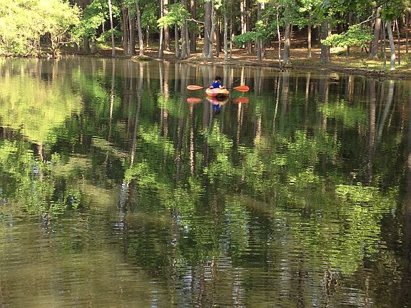 Additional acreage with pond
