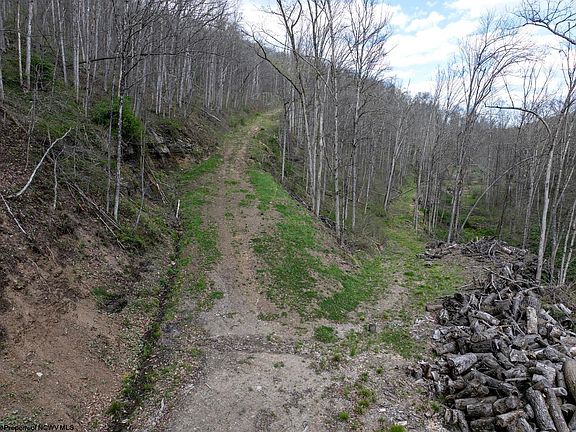4th image of LOT 1 Squires Run Rd