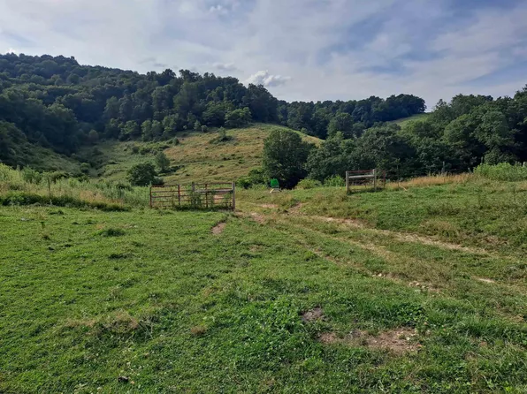 1511 Brady Gate Rd, Monterville, WV 26282