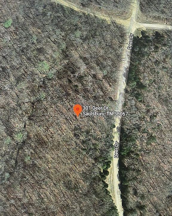 1st image of 301 Deer Dr