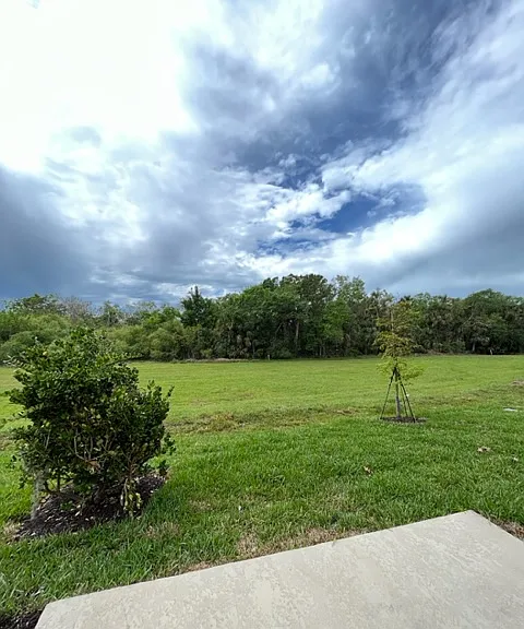 8545 Lunar Skye St #8545 — Photo 3