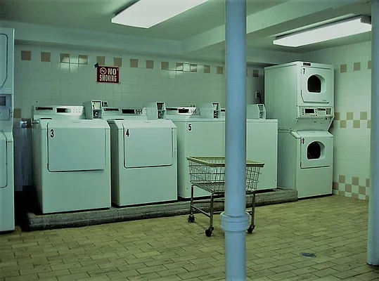 Rented by Voro New York | media 11