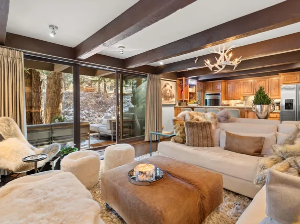 1034 E Cooper Ave, Aspen, CO