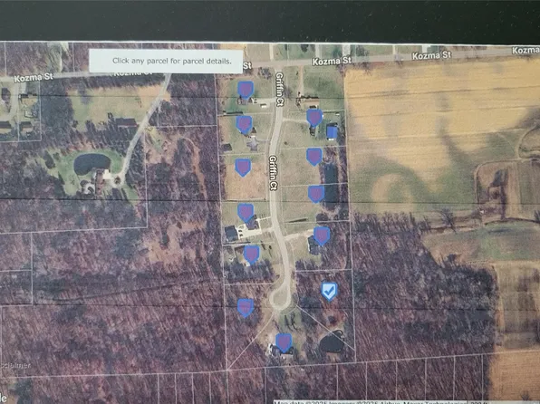 Griffin Ct Unit 5, Belleville, MI 48111