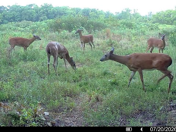 4th image of 8210 N Traders Bend Rd