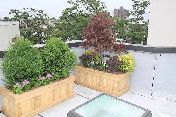 Rented by Evergreen Apartments BK | media 83