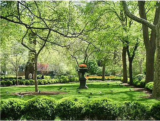 Sold by Douglas Elliman | media 2